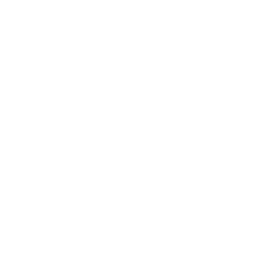 DigitEx - Digital Export Professionals, servizi di digital export per l'internazionalizzazione del Made in Italy e l'acquisizione di opportunità da mercati esteri